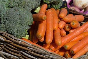 Vegetables in a basket